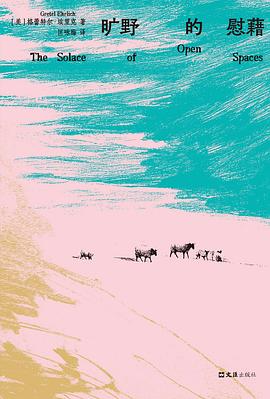 在无处可逃的荒原上，我们如何学会像岩石一样被风化，又像水一样被接纳？ —-评《旷野的慰藉》