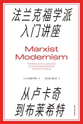 当“批判”不再是姿态，而是一场关于思想突围的实操演练 —-评《法兰克福学派入门讲座》