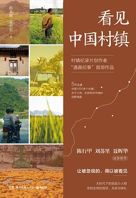 在田垄与数字的缝隙间，打捞一份关于“大后方”的视觉证词 —-评《看见中国村镇》