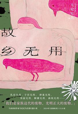 在地理的撤退与精神的围城间，打捞一份关于“原乡解构”的冷峻证词 —-评《故乡无用》