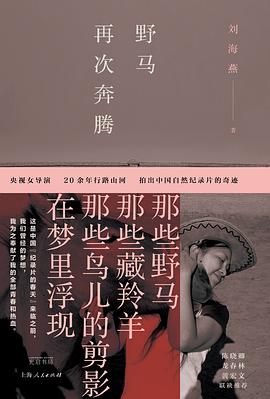 燃烧在旷野里的灵魂：当镜头对准生命禁区 —-评《野马再次奔腾》